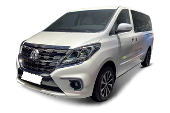 Dongfeng Forthing M7 REV