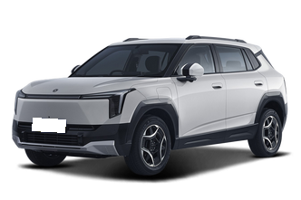 Dongfeng Nammi 06