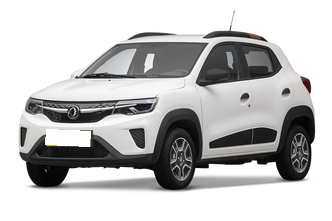 Dongfeng Nammi EX1