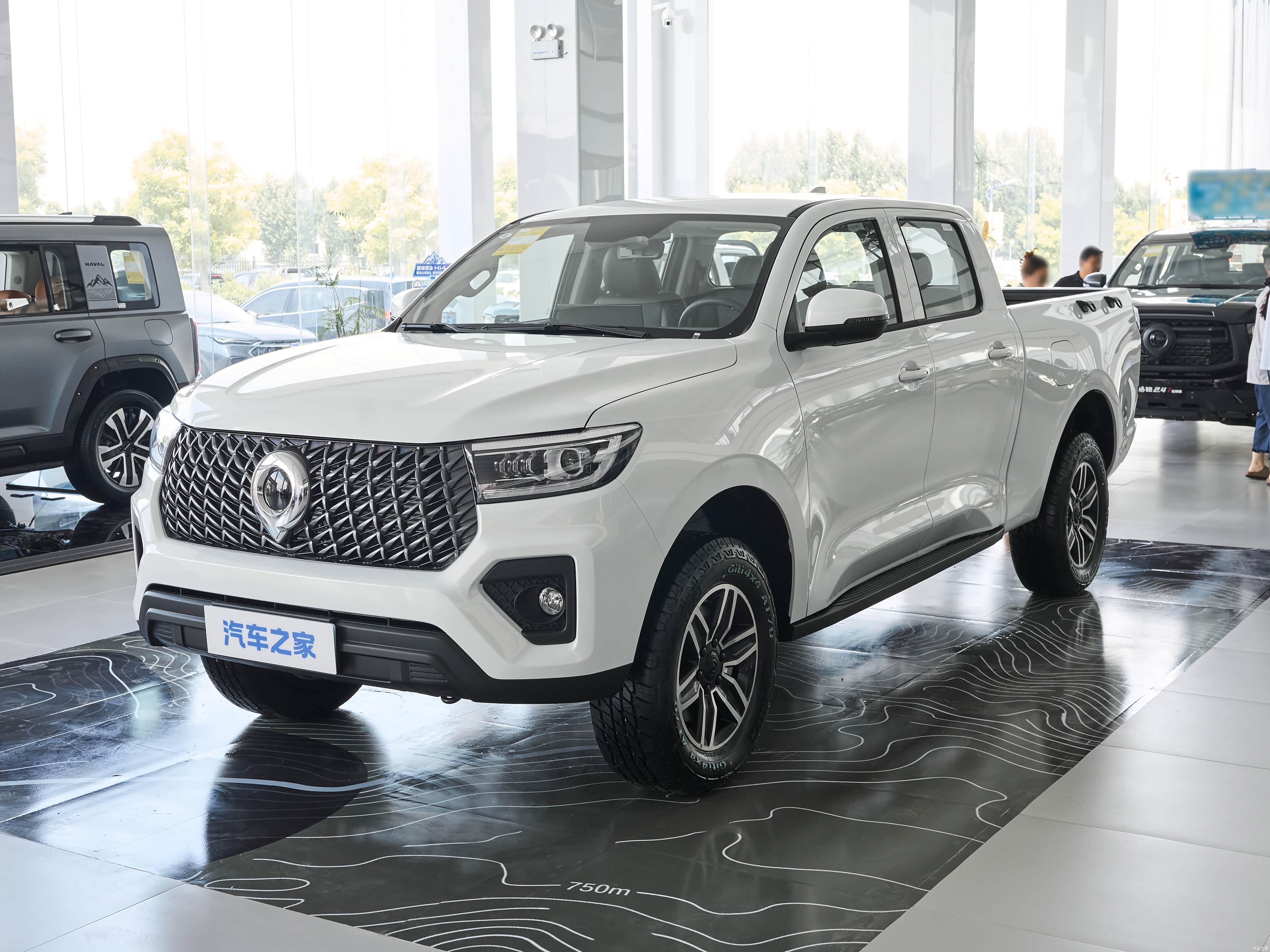 Great Wall Motors Poer