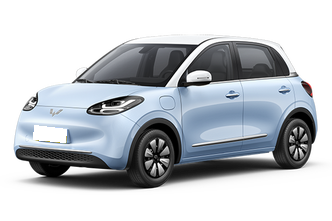 Wuling Bingo
