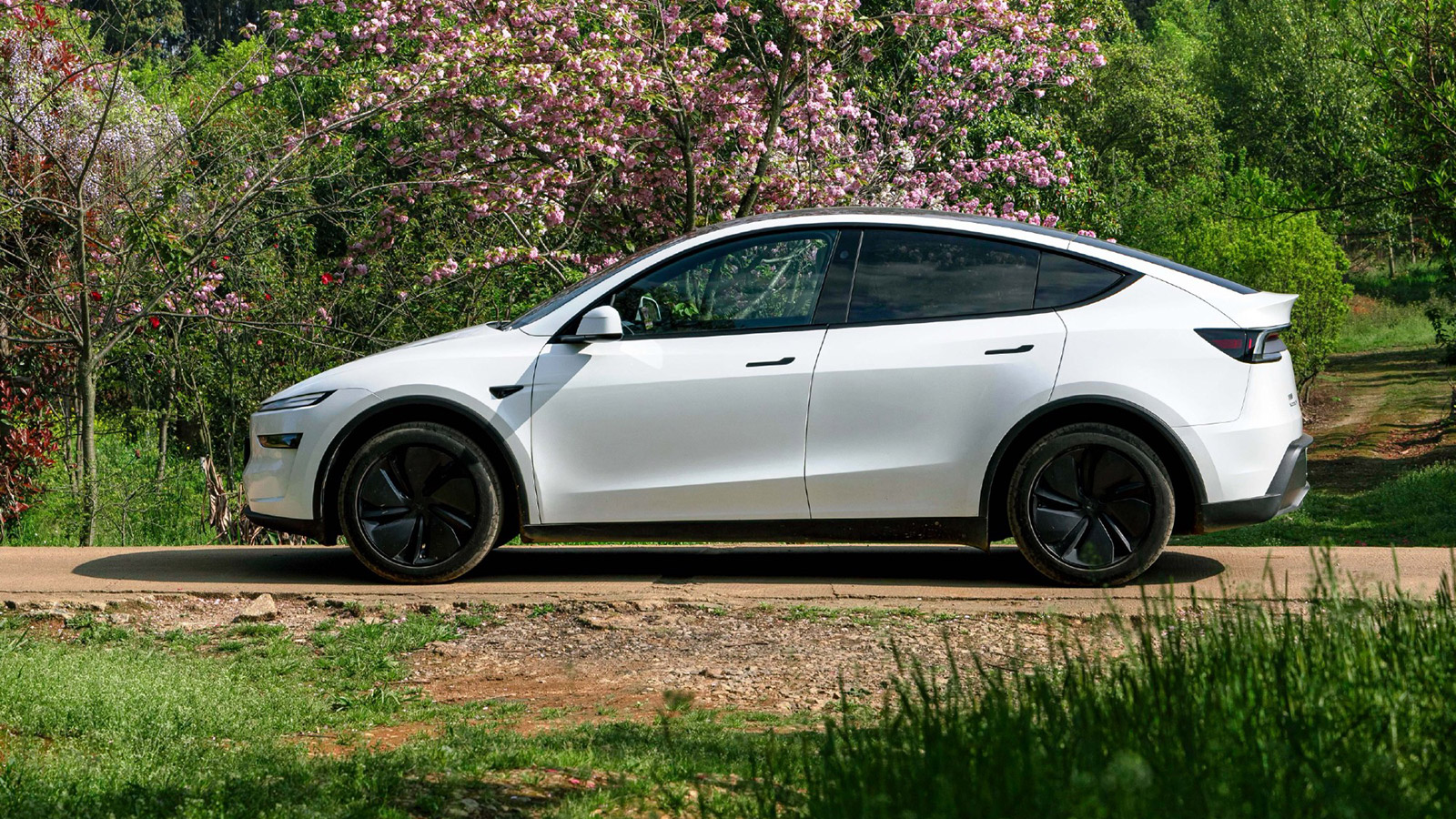 Tesla готовит новую версию Model Y в Китае: запас хода 659 км